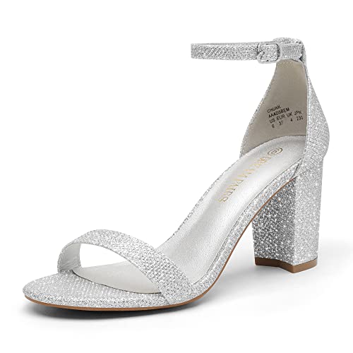 Silver Glitter Silver Glitter