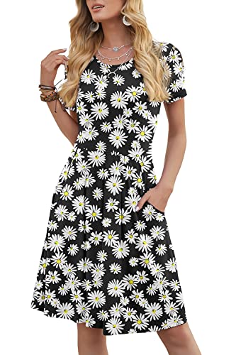 Little Daisy-black Little Daisy-black
